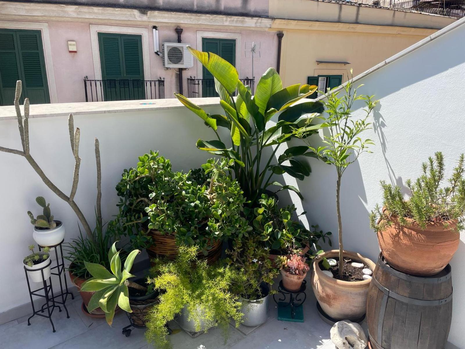 Terrazza Alla Cala - Palermo — Foto 3